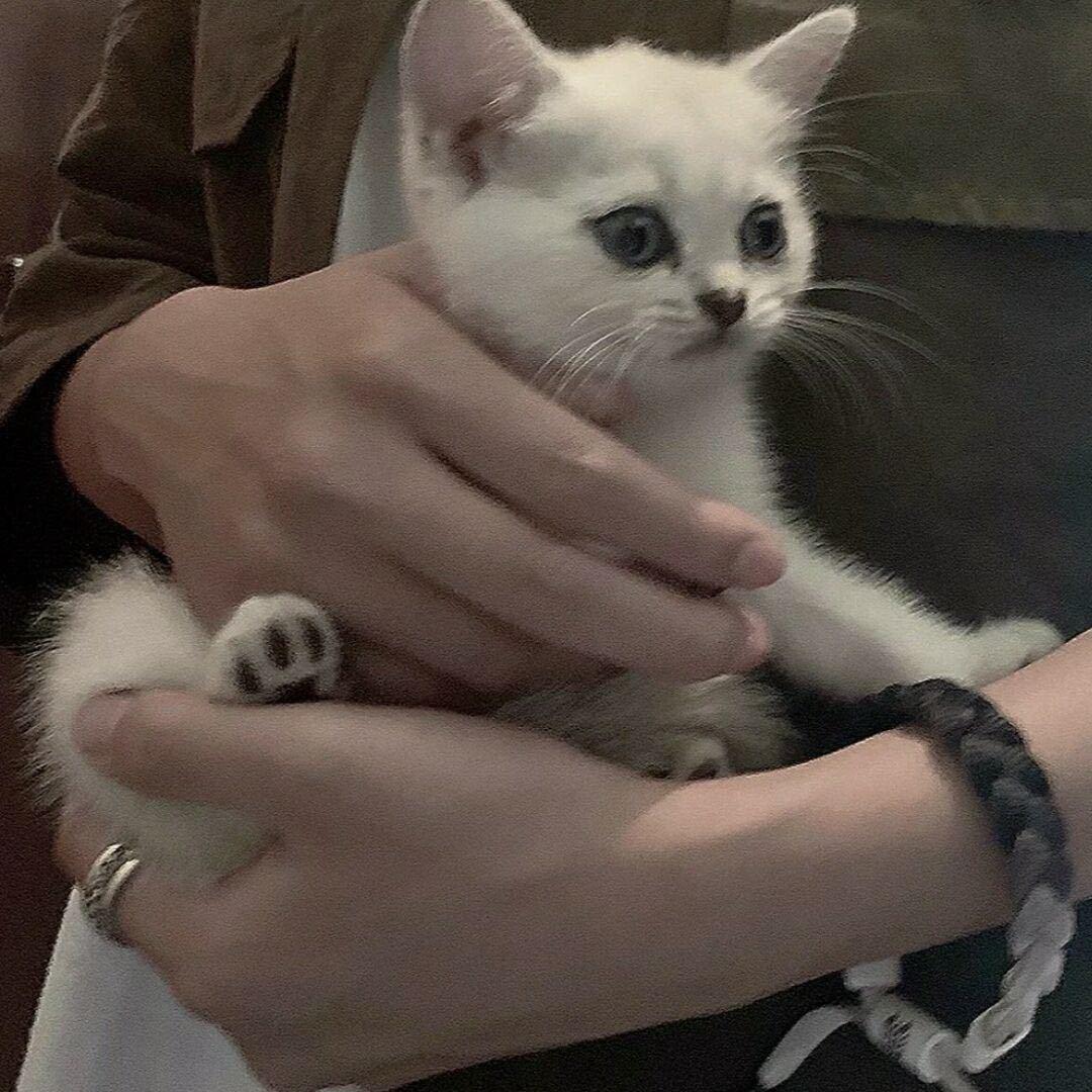 翰墨