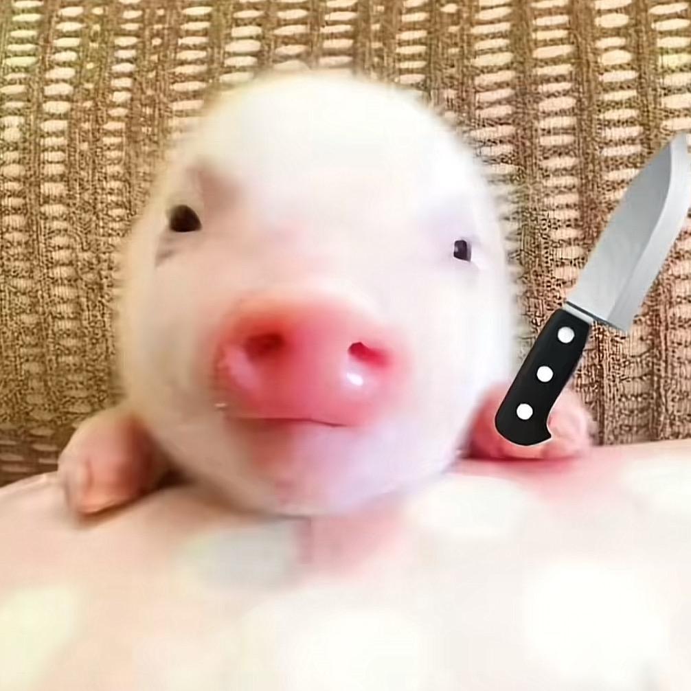 小因心