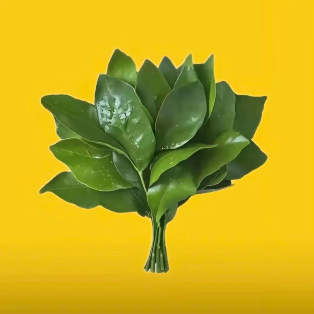 白思远