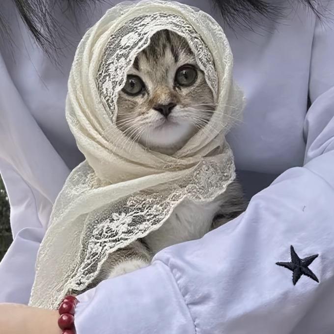 恩伊🇨🇳