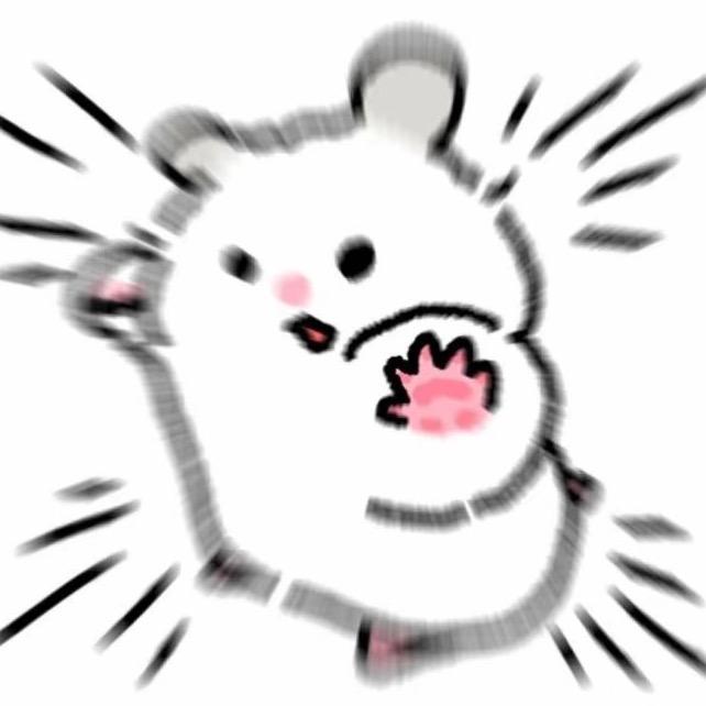 O泡