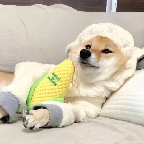风吹哪页读哪页