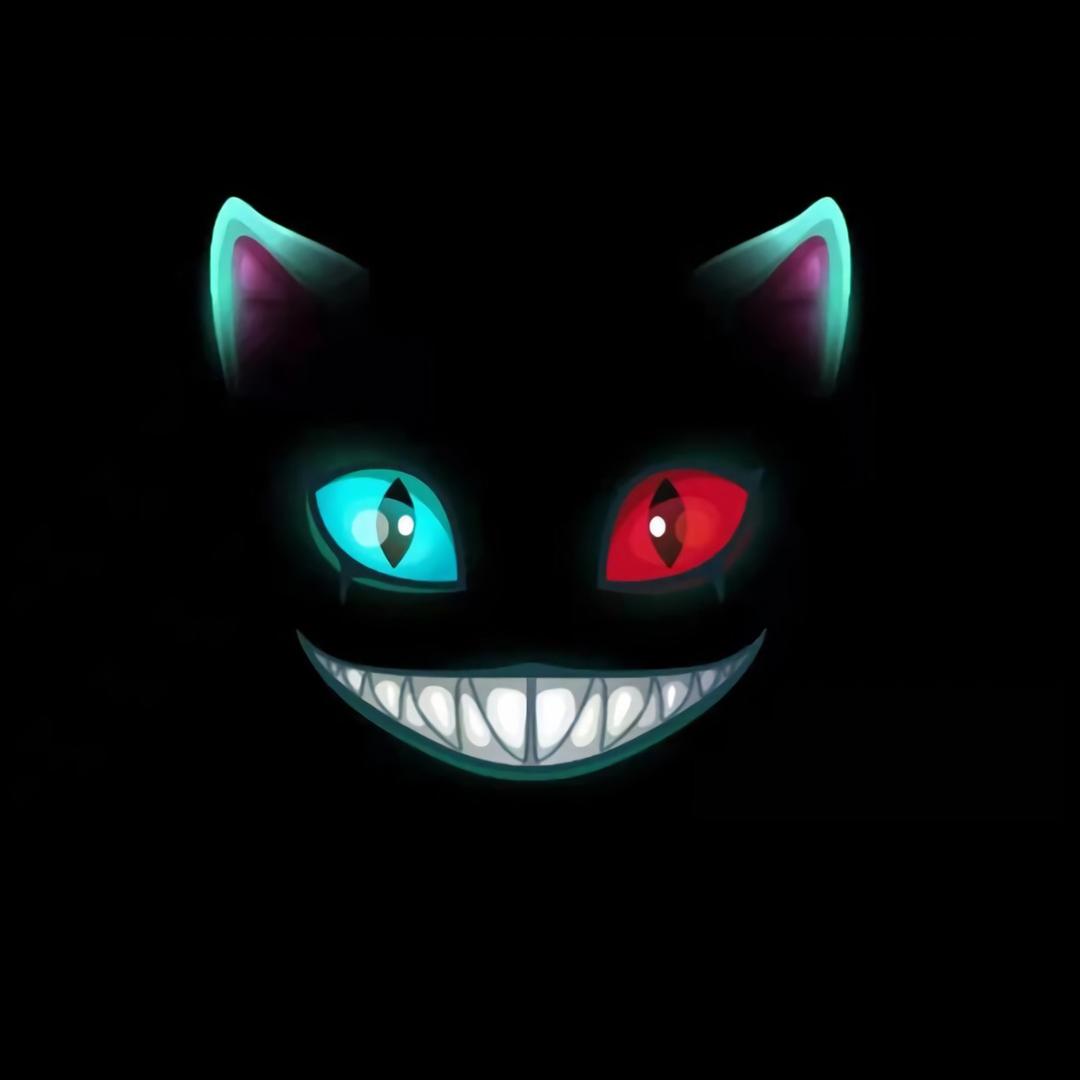 身手矫健的腹肌猫 