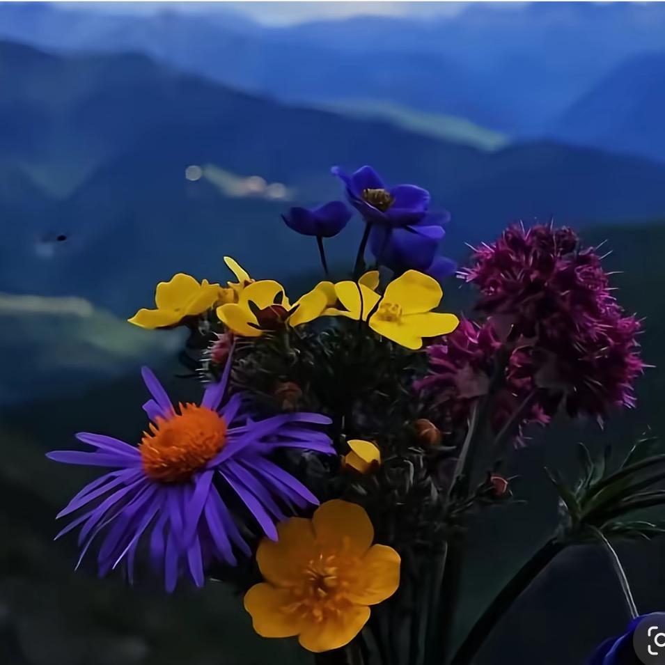 拉姆吉🧚‍♀️