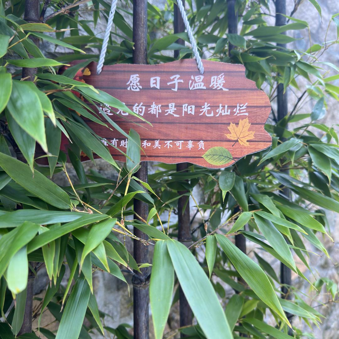 新颖
