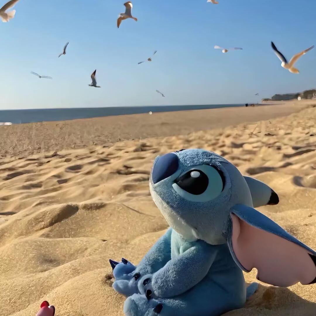 ღ情ღ