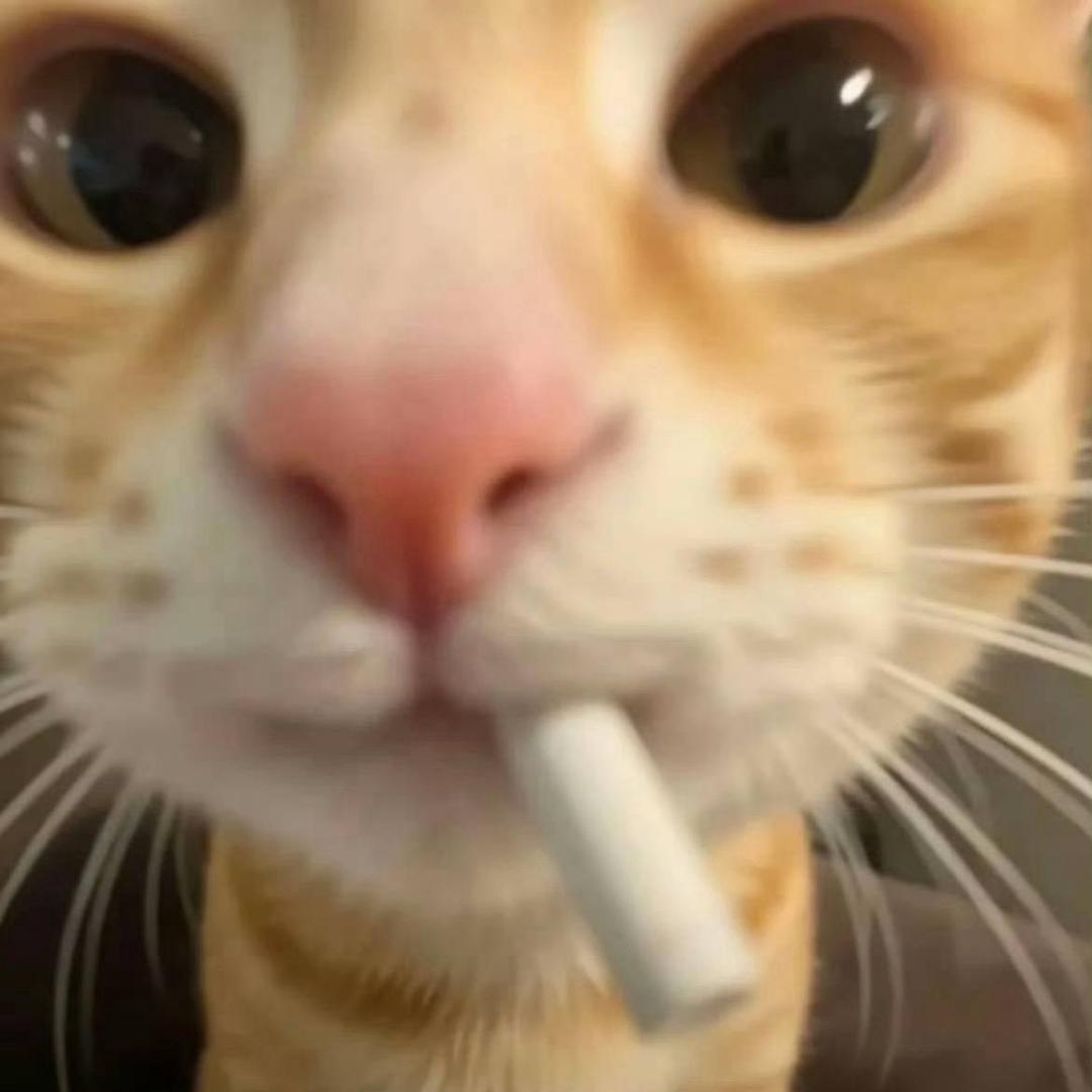 世界上最优秀的人