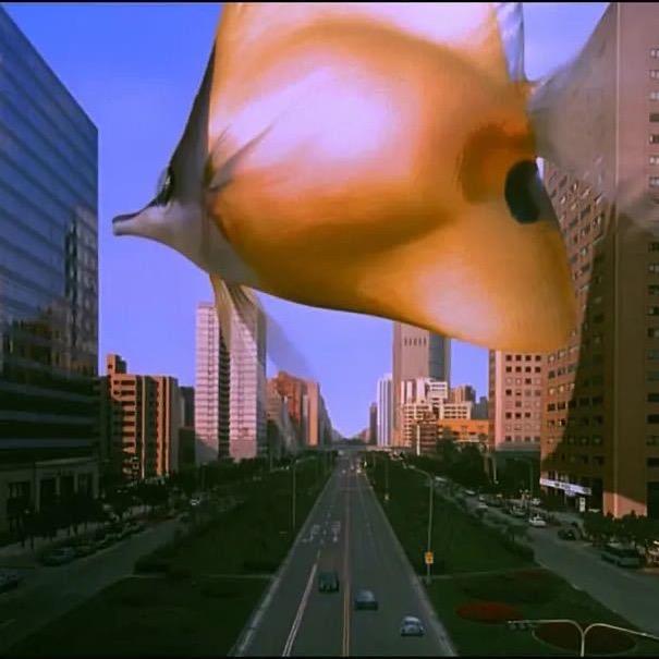 菠萝不西游
