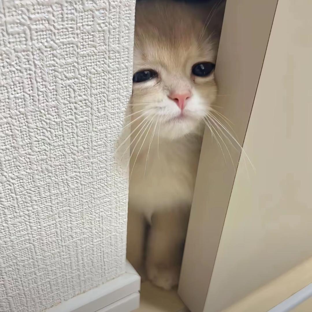 风雨人生344