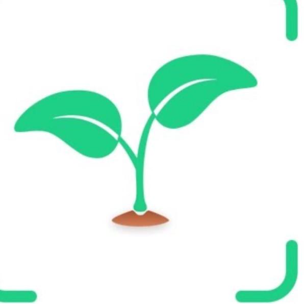 🇲🇴軍軍🇭🇰