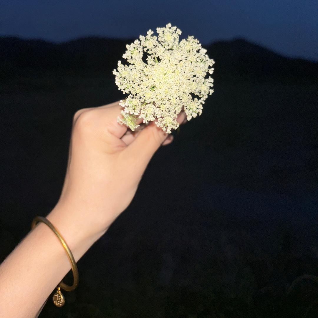 🍃ᰔᩚ傻丫໌້ᮨ⃨头࿐ᩚ💕