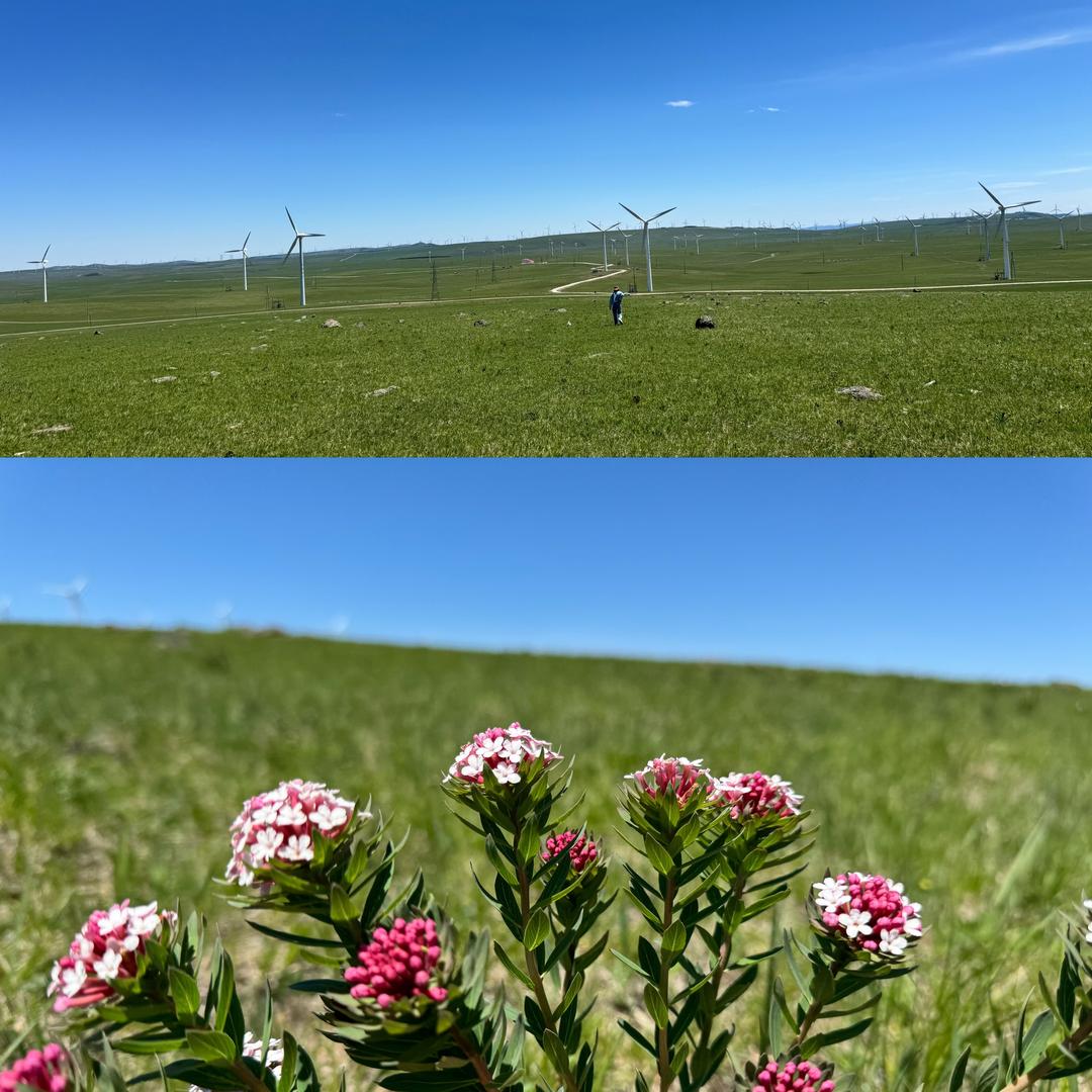 呜啦啦呼呼哈✨