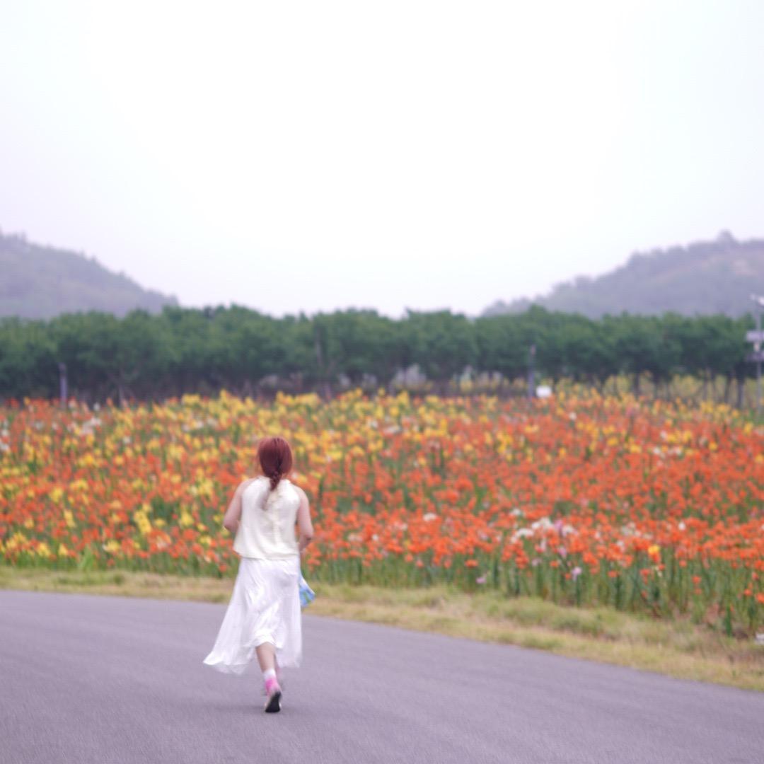 马良其实没有神笔