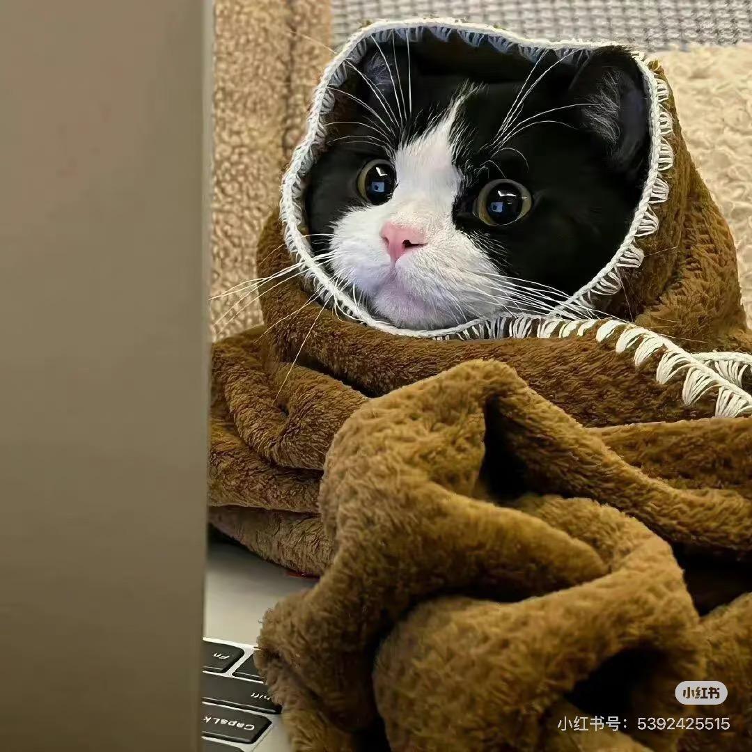 到底是谁在爱吃胡萝卜