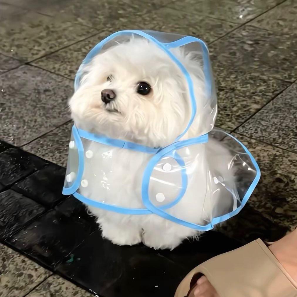 纯元合集