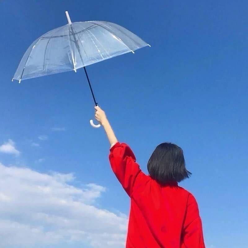 竹 林 心 雨