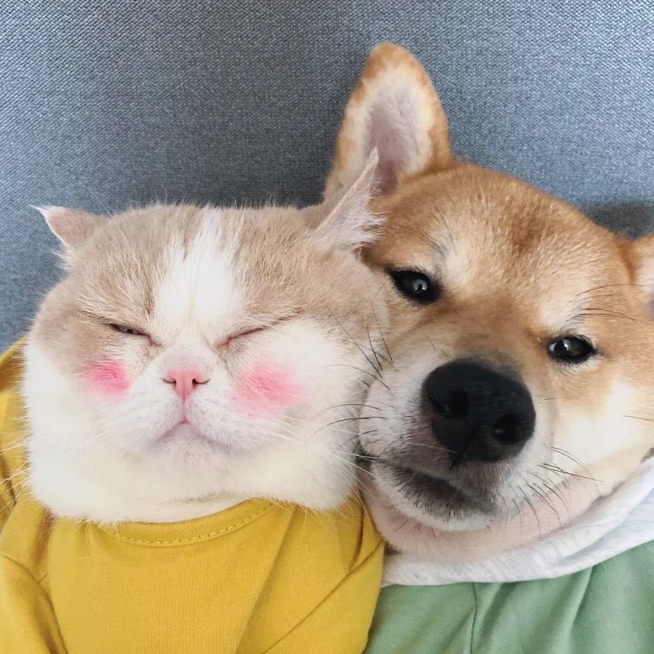 🐮麦戈—大成望月路小学晚托