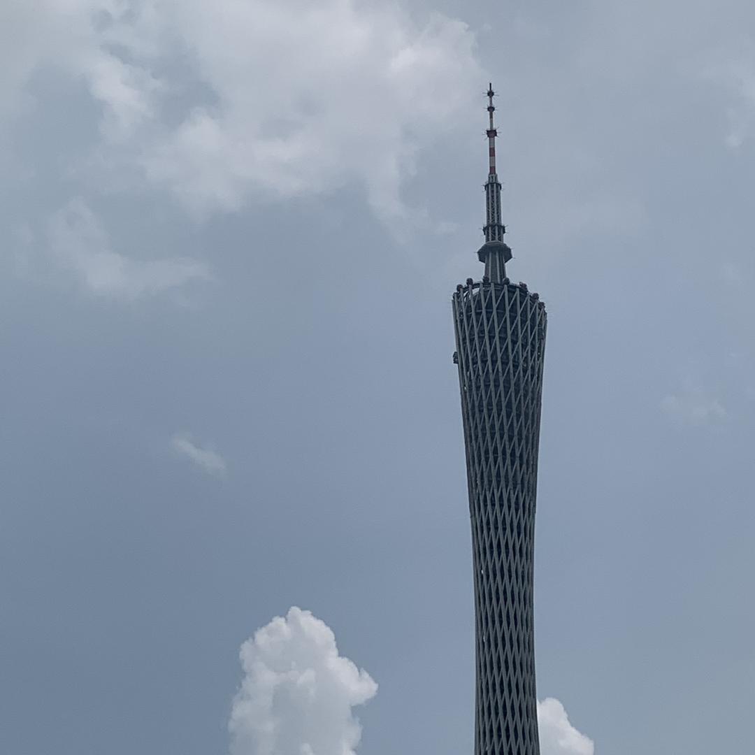 姓金名条
