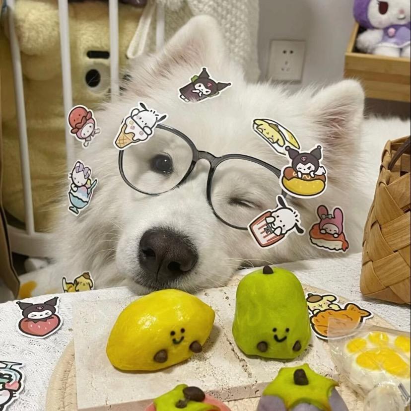 不做小甜狗