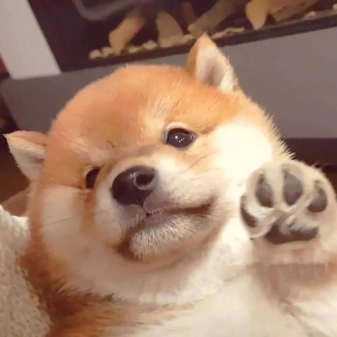 九思（2025年版）