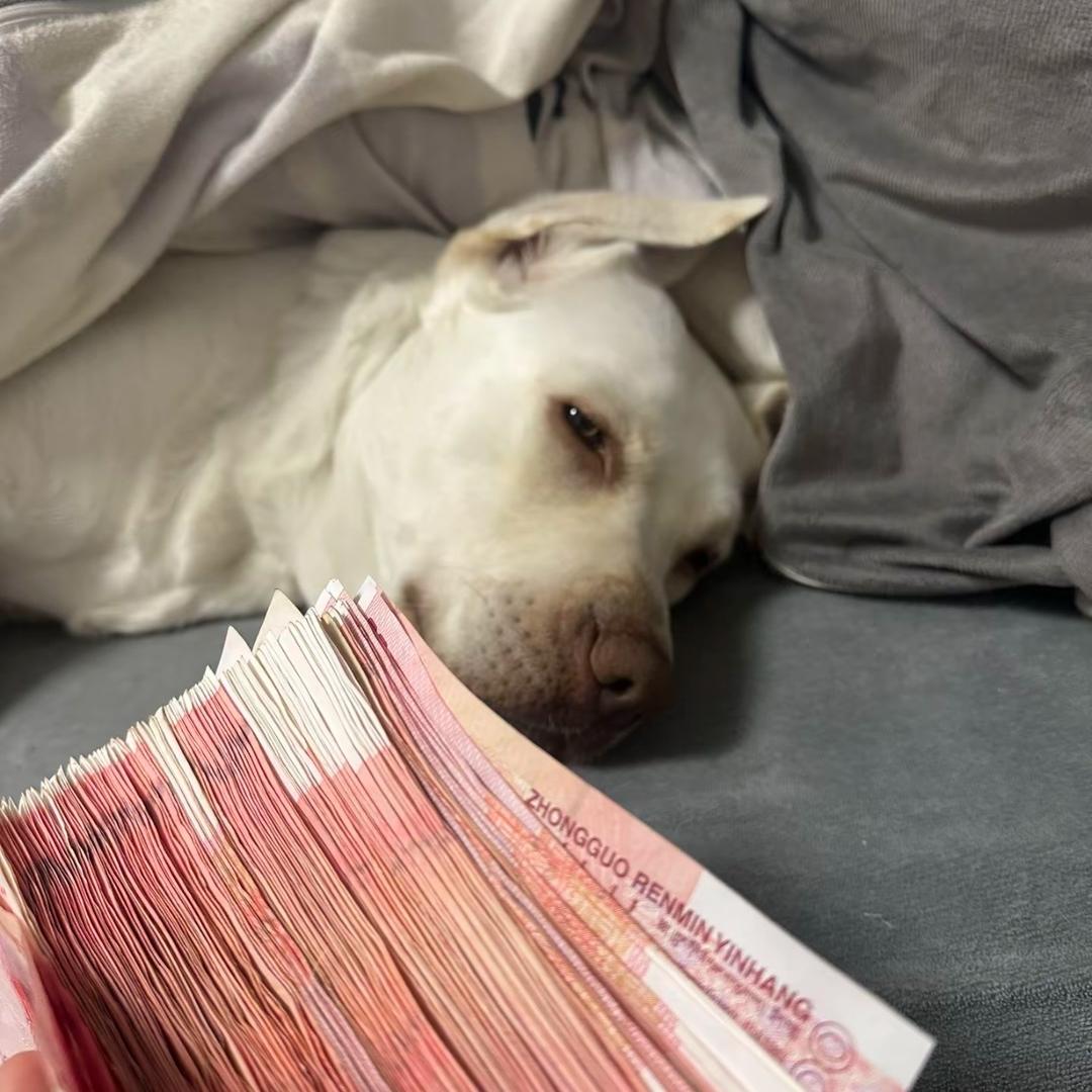 鬼索（弹幕游戏，体力直播）每晚九点