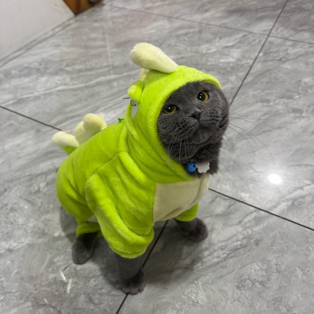 落叶潇潇如茗画