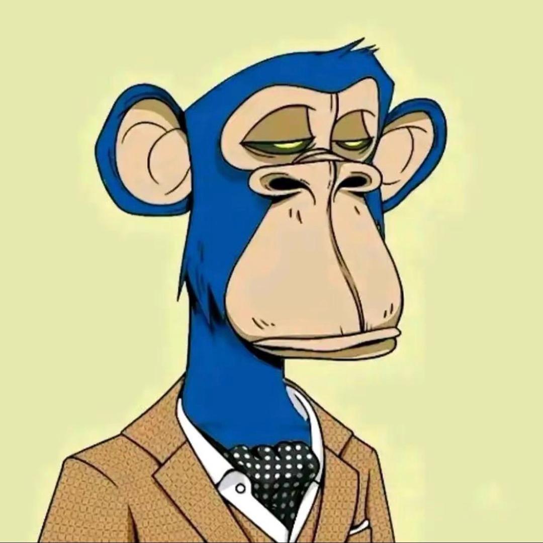 哦哈呦！！！🐯