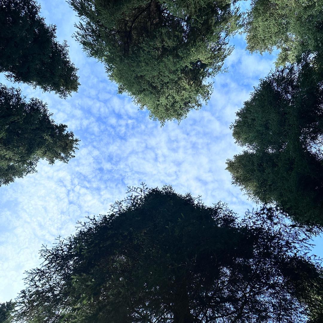 …11