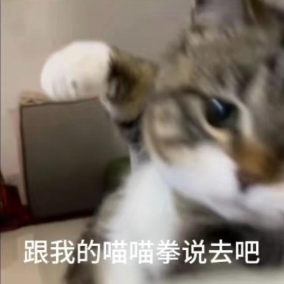 酸菜鱼鱼
