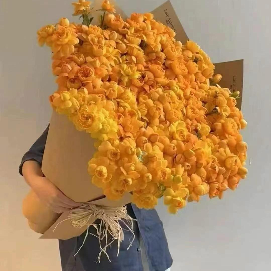 王十七(っ˘зʕ•̫͡•ʔ