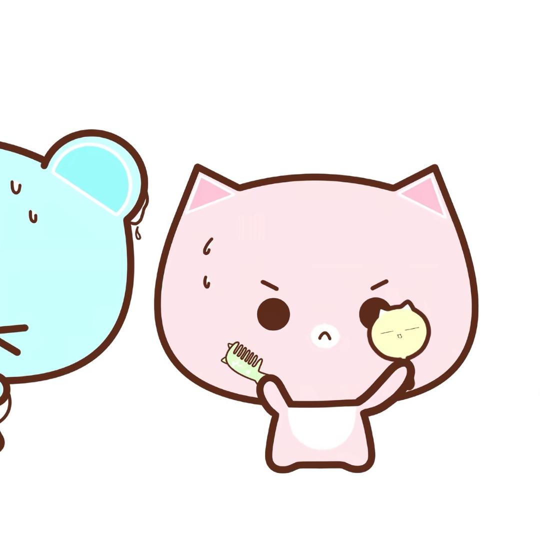 喵岛🐾