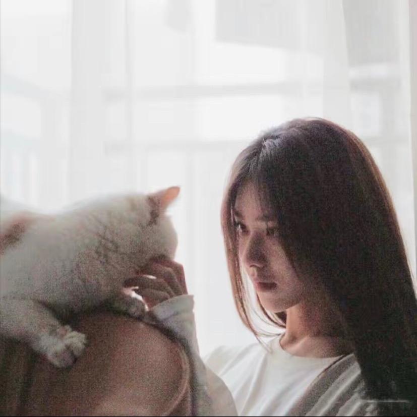 文情脉脉