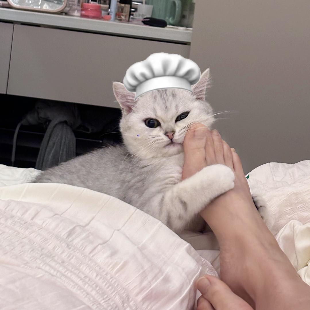 张月饼