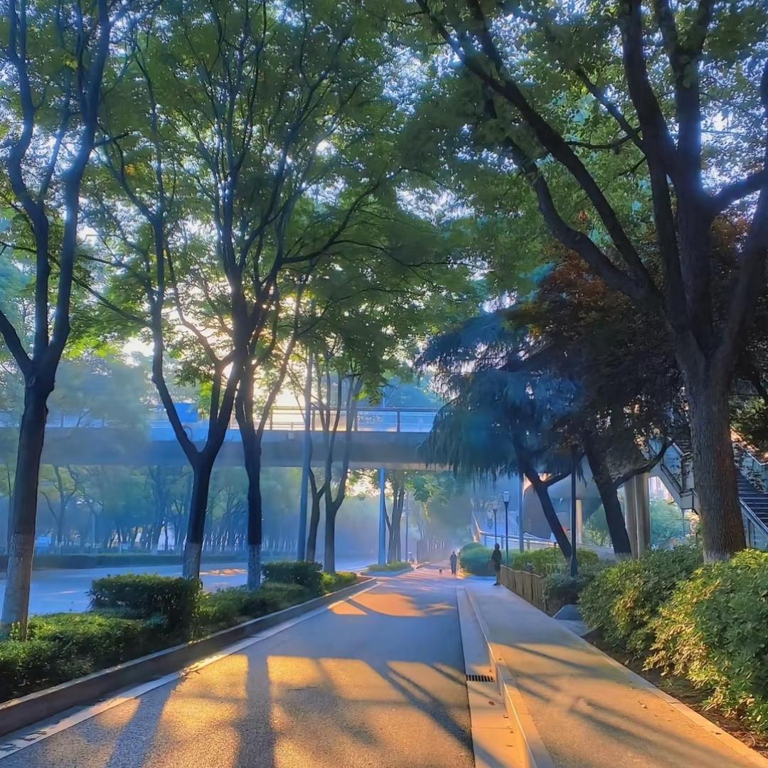 逆袭中的宝妈（哺乳期）