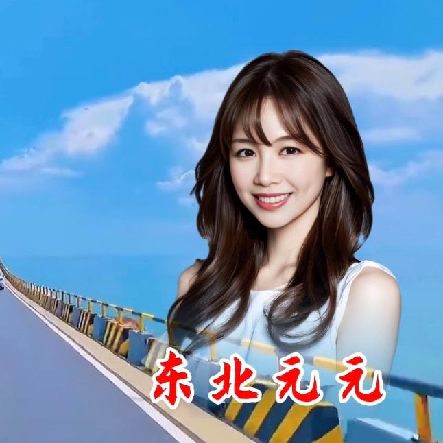 东北元元