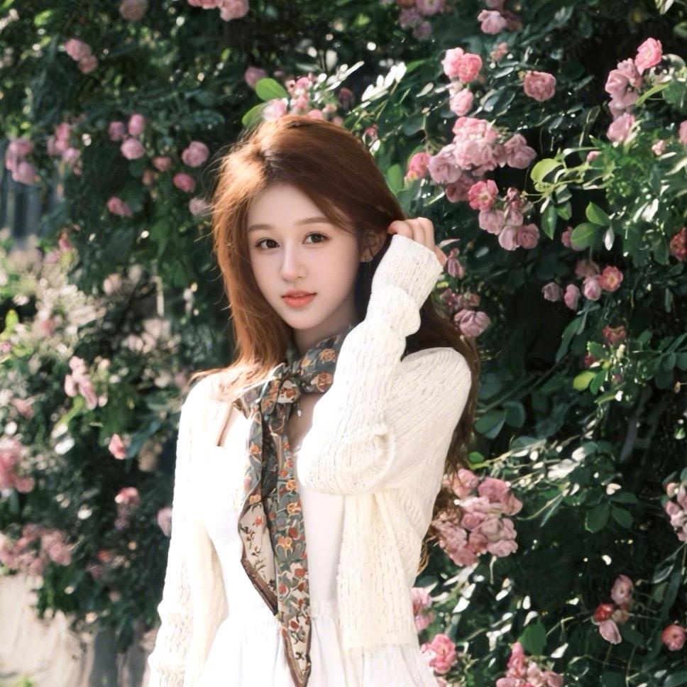 D&C桌球超星68号小蝶