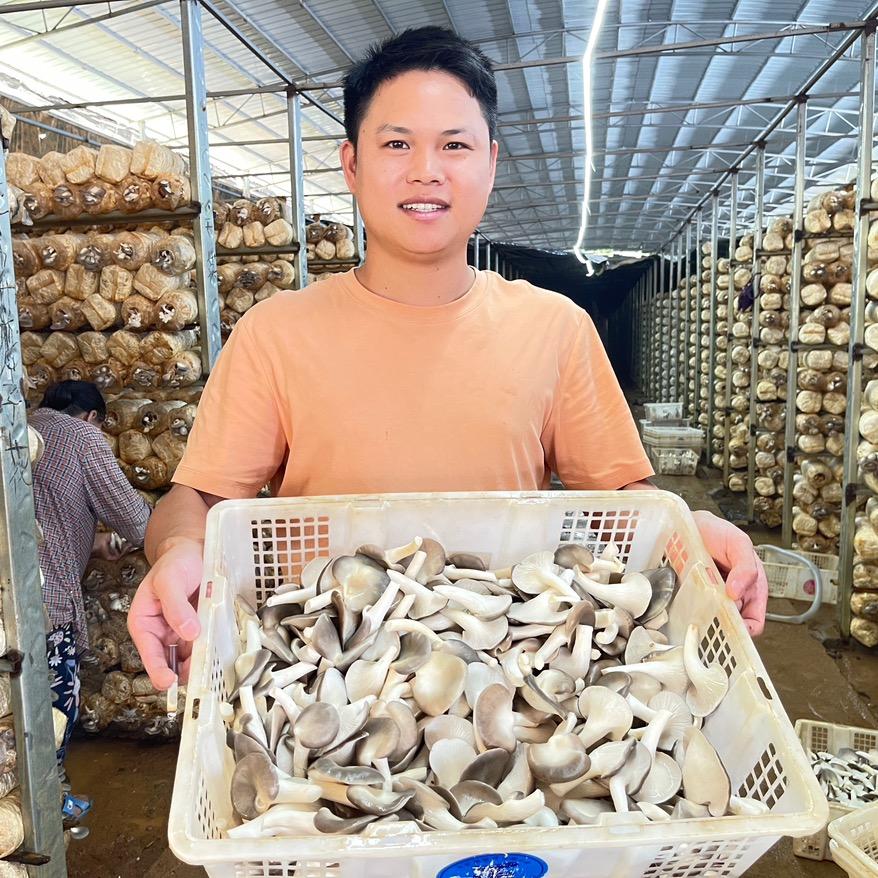 种蘑菇的柱子哥