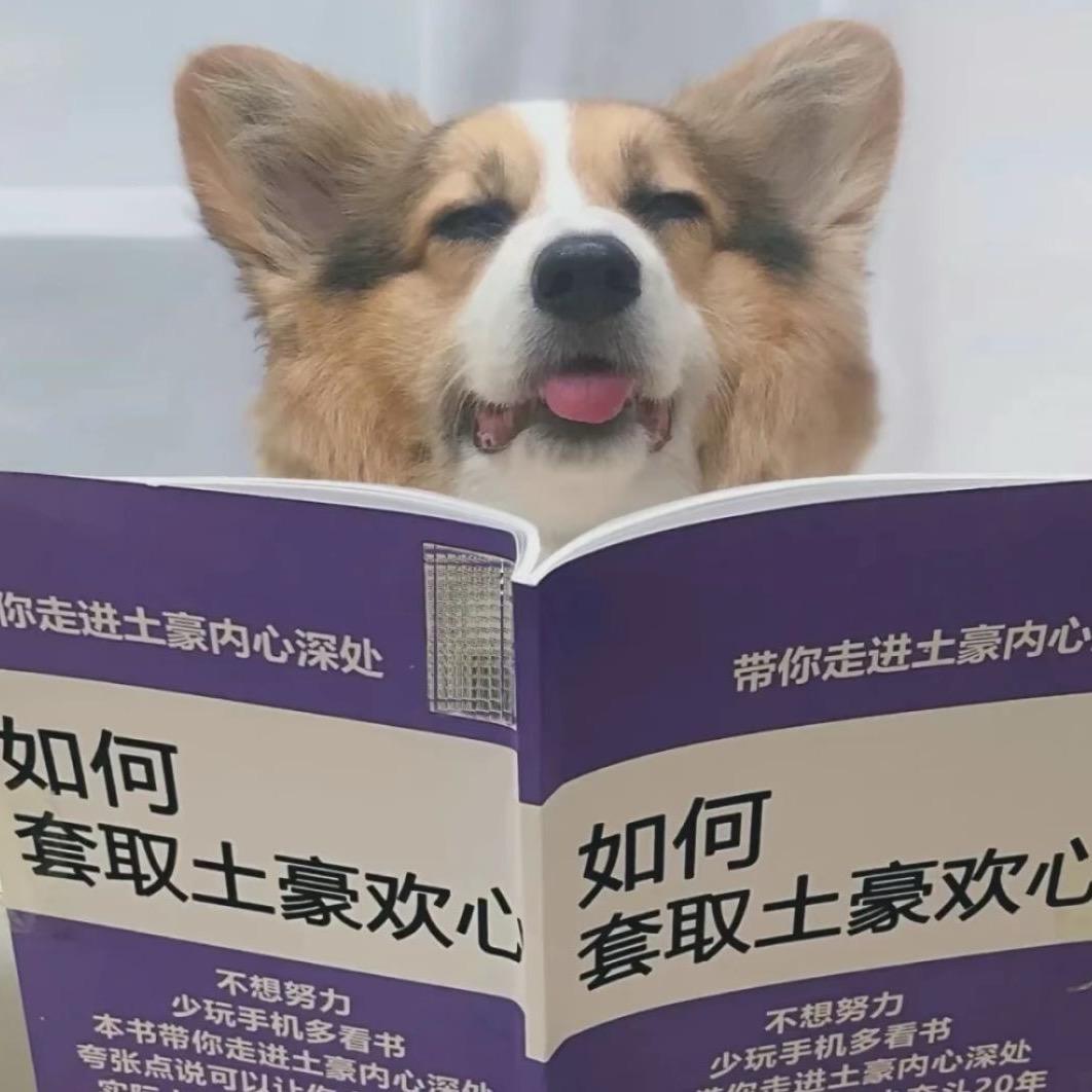 漫漫