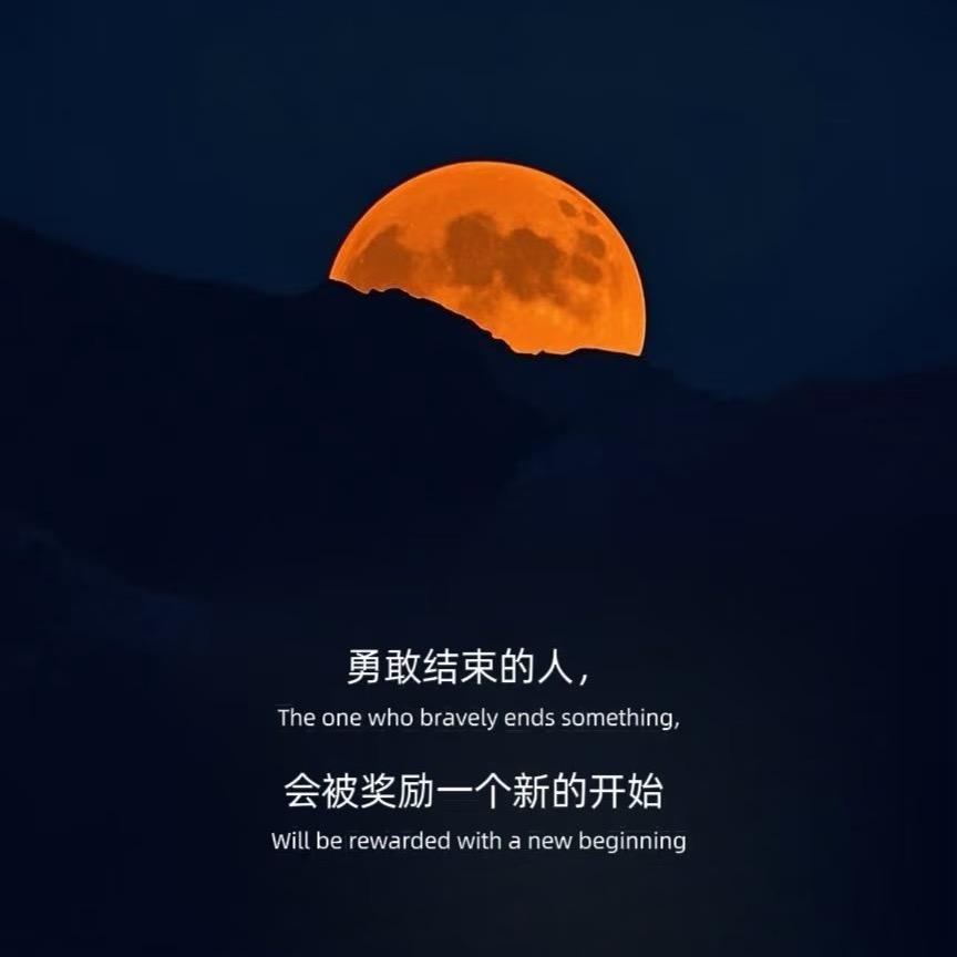 一定上岸