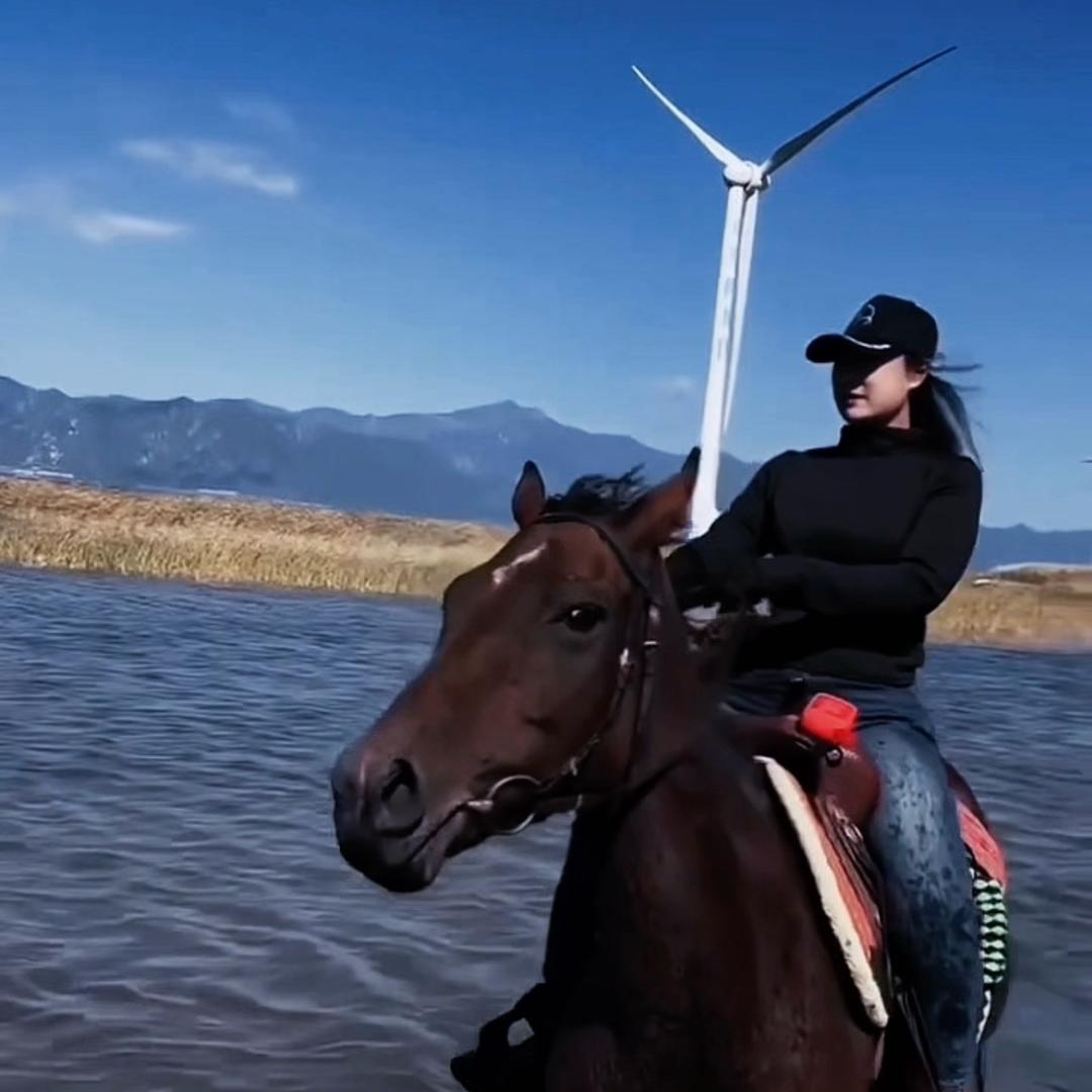 爱骑马的大宁🦄