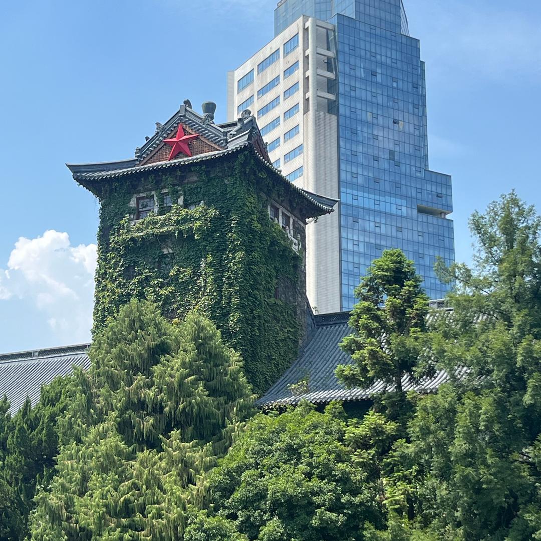 沉默不言