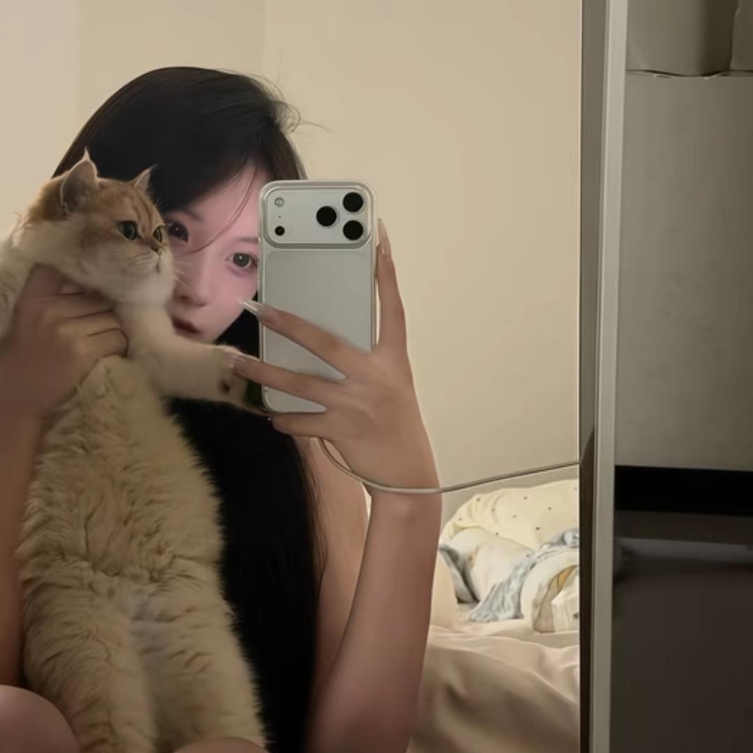 养一只阿拉斯加