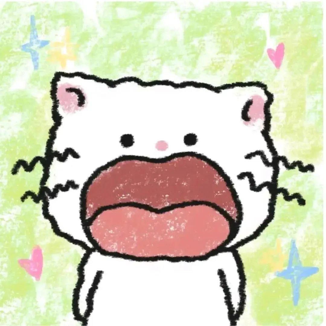 双面龟龟