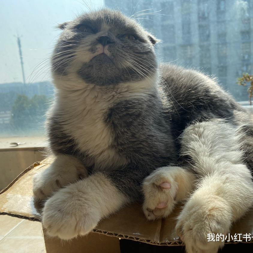 小周慢慢来
