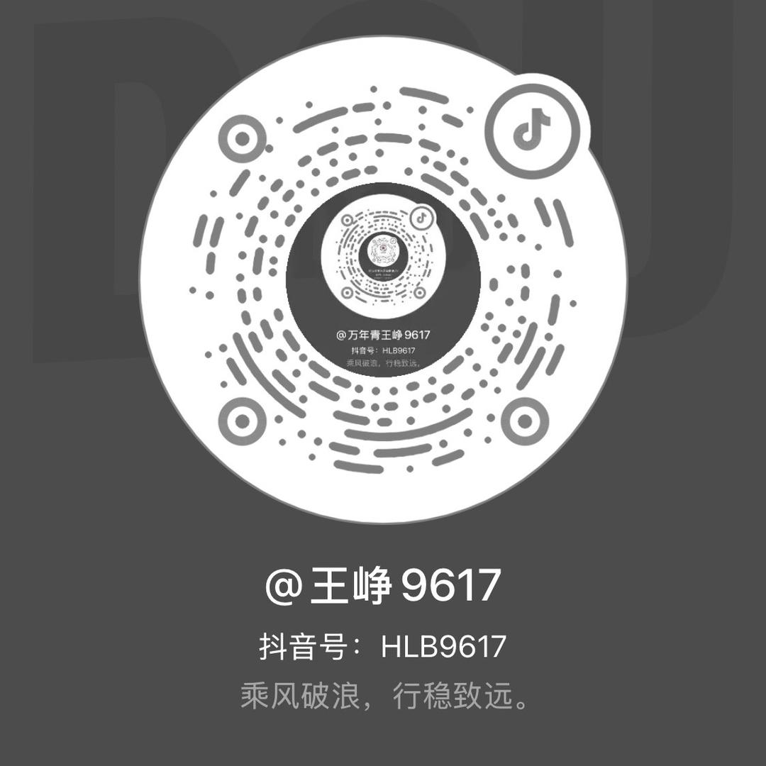 王峥9617