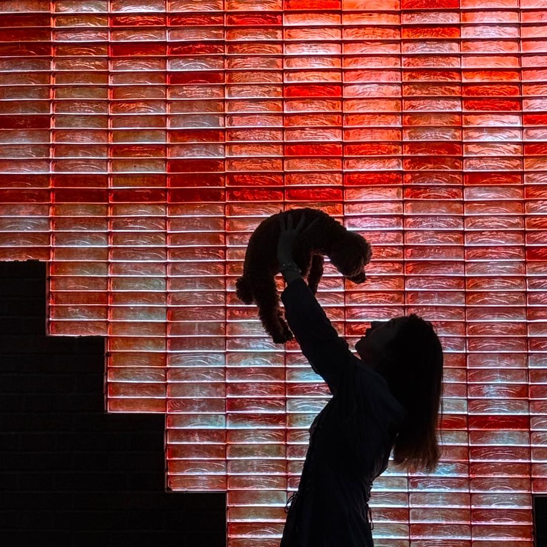 不瘦到110斤不改抖音名（抽象版）