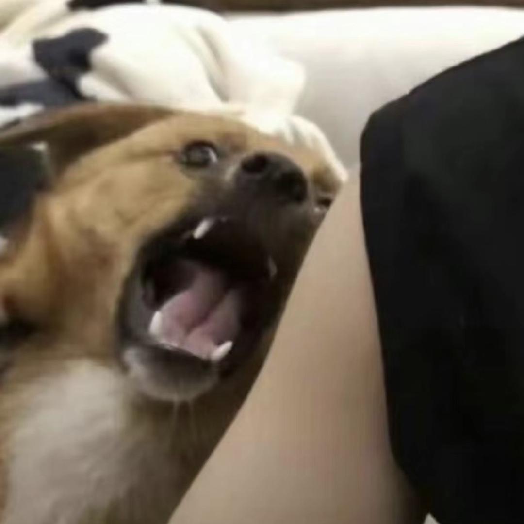 再也不扎高马尾