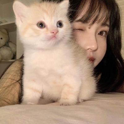 旺旺小仙贝