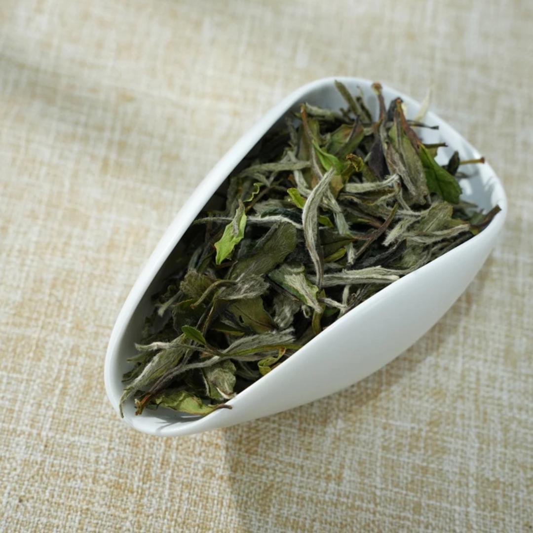 百茶供应链