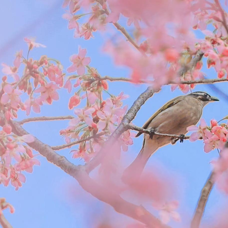 驻马店通讯专业